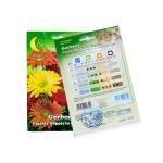 ⁦African Daisy Seeds⁩ - الصورة ⁦2⁩