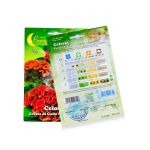 Cockcomb Seeds (Celosia) - Image 2