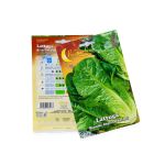 Lettuce Seeds