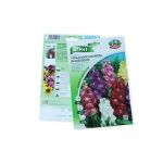 Stock Flower Seeds