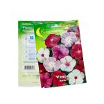 بذور فينكا روزيا (نبات العناقية من مدغشقر)